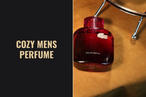 cozy mens perfume
