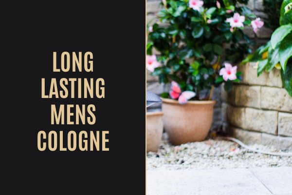 long lasting mens cologne