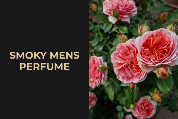 smoky mens perfume